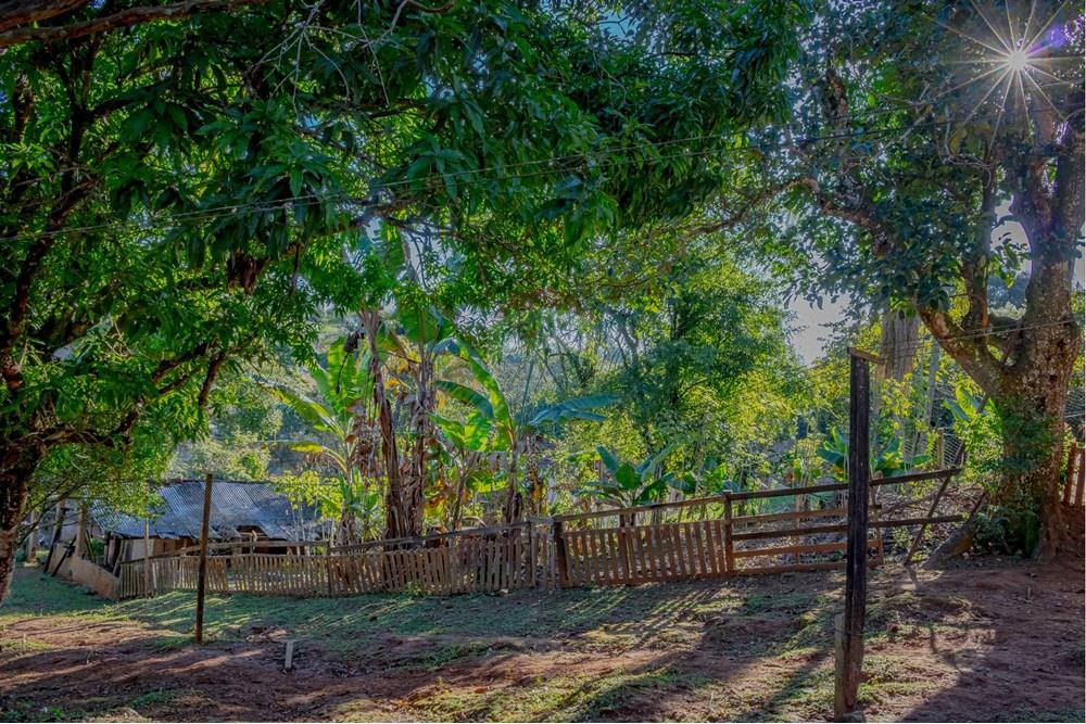 Chácara / Sítio / Fazenda - Venda - Atibaia , São Paulo - RINF-152.jpg - 690921066-49