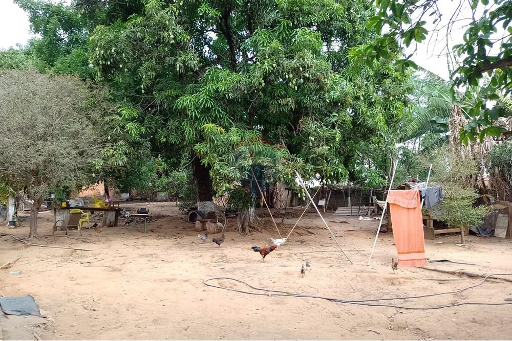 Terreno - Venda - Cosmópolis , São Paulo - fachada (14).jpg - Jardim Interno - 690831047-354