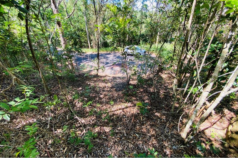 Terreno - Venda - Atibaia , São Paulo - IMG_0080.jpg - 690921107-2