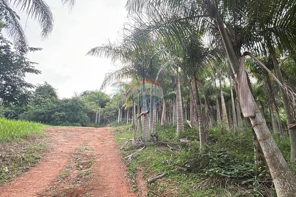 Chácara / Sítio / Fazenda - Venda - Amparo , São Paulo - WhatsApp Image 2025-06-24 at 11.21.30 (6).jpeg - 690661027-111