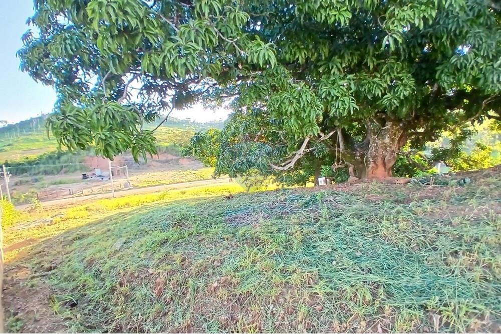 Chácara / Sítio / Fazenda - Venda - Itapira , São Paulo - WhatsApp Image 2025-04-22 at 08.34.39.jpeg - 690291039-40