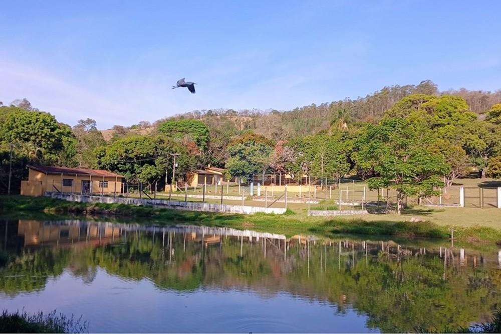 Chácara / Sítio / Fazenda - Venda - Vargem , São Paulo - TANQUE  (2).jpg - 690141085-33