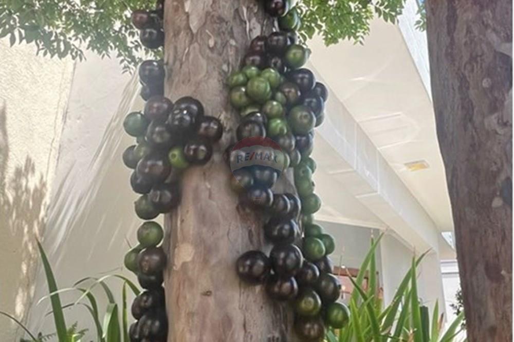 Casa de Condomínio - Venda - Paulínia , São Paulo - IMG-20250923-WA0093.jpg - 690511143-102