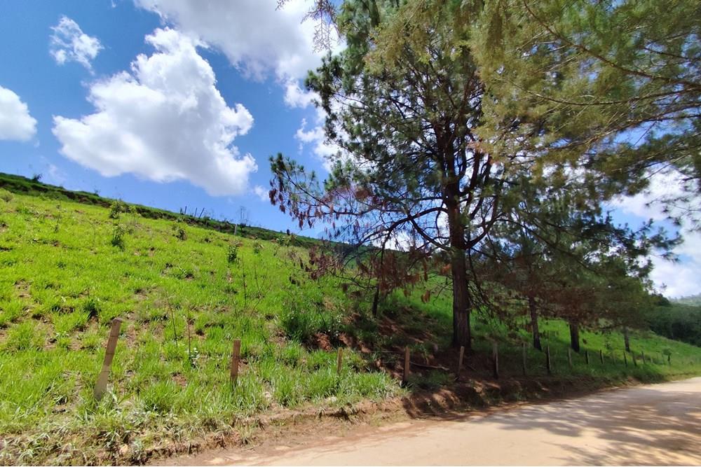 Terreno - Venda - Serra Negra , São Paulo - IMG_20241030_110934.jpg - 690291077-60