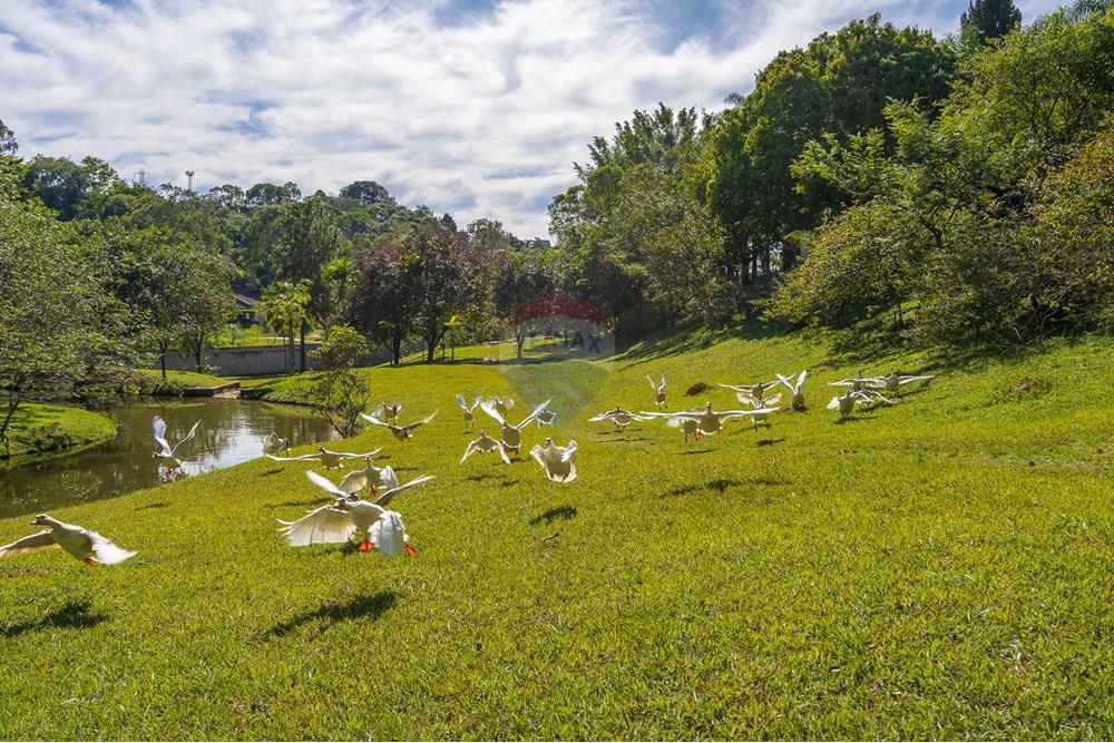 Casa de Condomínio - Alugar - Vinhedo , São Paulo - EDI03888.jpg - 690941009-119