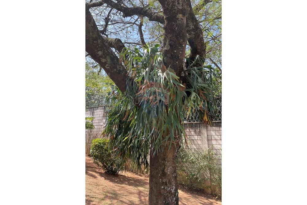 Casa de Condomínio - Alugar - Vinhedo , São Paulo - IMG_2770.JPG - 690491062-161