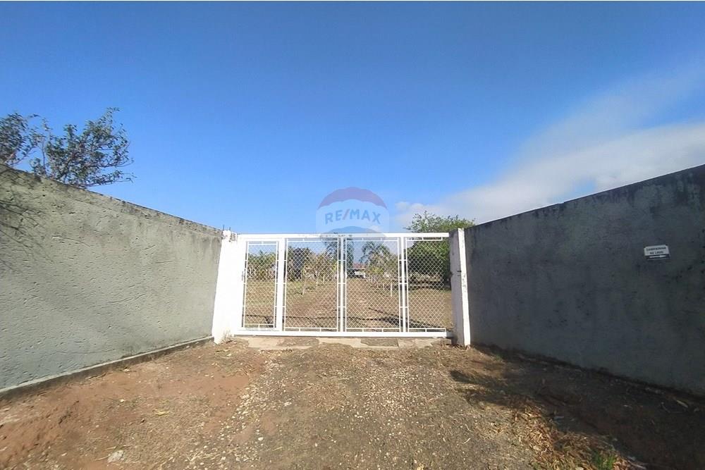 Chácara / Sítio / Fazenda - Venda - São Pedro , São Paulo - IMG_20250913_082356.jpg - 690571081-4