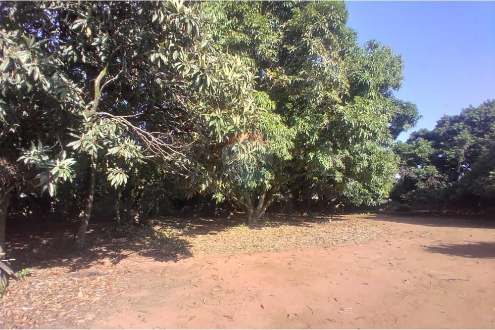 Chácara / Sítio / Fazenda - Venda - Mogi Mirim , São Paulo - Foto sr Mario 4.jpeg - Pátio interno - 690751061-27