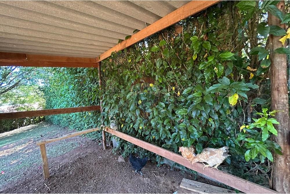 Chácara / Sítio / Fazenda - Venda - Jarinu , São Paulo - WhatsApp Image 2025-03-31 at 08.40.27 (6).jpeg - 690661027-107