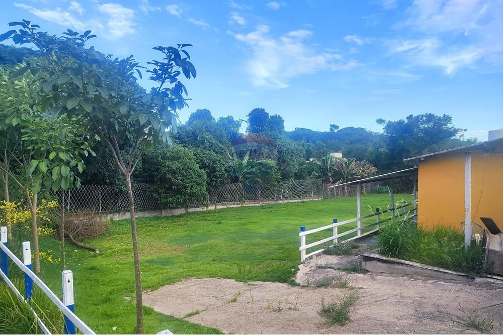 Chácara / Sítio / Fazenda - Venda - Cosmópolis , São Paulo - WhatsApp Image 2025-04-08 at 11.35.13.jpeg - 690511042-269