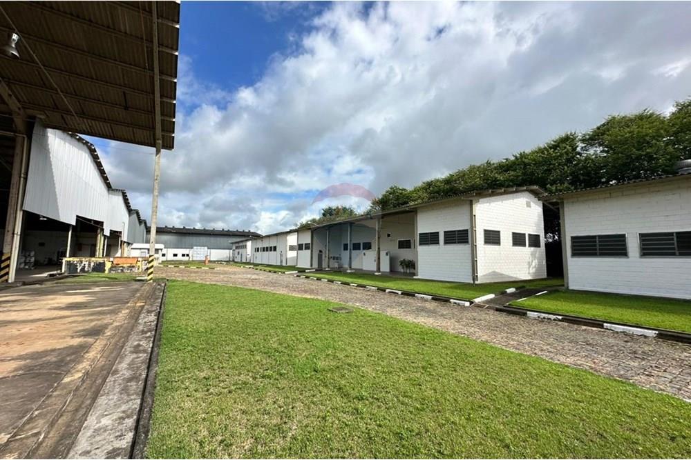 Galpão - Venda - Registro , São Paulo - WhatsApp Image 2025-06-09 at 11.52.51.jpeg - 690061038-10