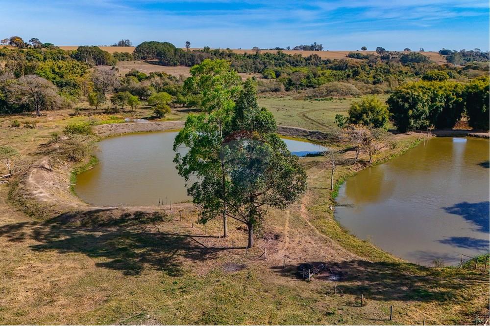 Chácara / Sítio / Fazenda - Venda - Santa Cruz da Conceição , São Paulo - Tratada-35.jpg - 690481001-177