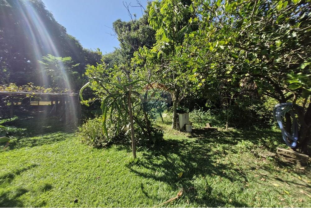 Chácara / Sítio / Fazenda - Venda - Campinas , São Paulo - 20250508_094805.jpg - Quintal - 690671050-21