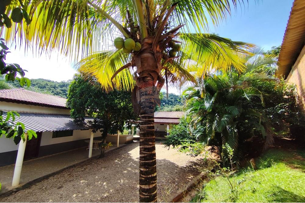 Chácara / Sítio / Fazenda - Venda - Itapira , São Paulo - 1751510168592.jpg - 690291077-251