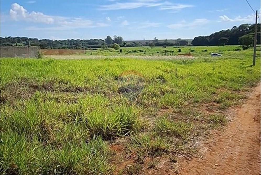 Terreno - Alugar - Mogi Mirim , São Paulo - IMG-20241209-WA0033.jpg - 690751048-95