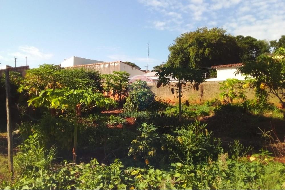 Terreno - Venda - Campinas , São Paulo - Imagem do WhatsApp de 2024-04-08 à(s) 20.59.42_2878df2c.jpg - 690331010-32