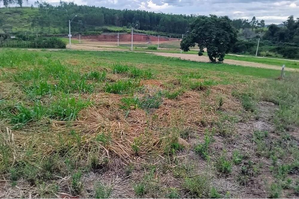 Terreno - Venda - Itapira , São Paulo - WhatsApp Image 2025-05-28 at 15.56.31.jpeg - Pátio interno - 690291083-3