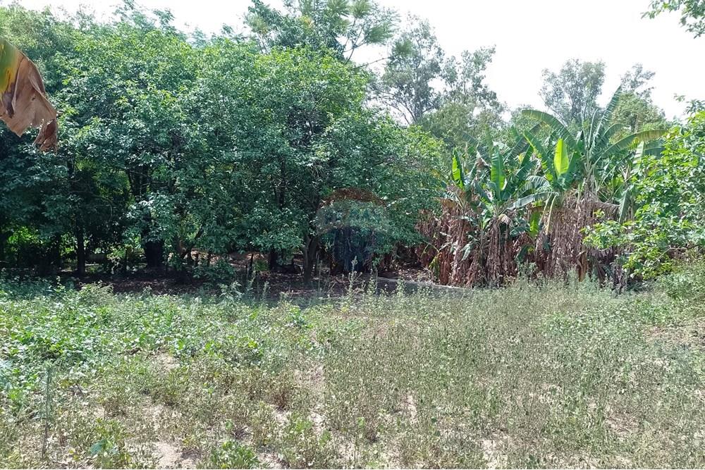 Terreno - Venda - Cosmópolis , São Paulo - fachada (3).jpg - Jardim Interno - 690831047-354