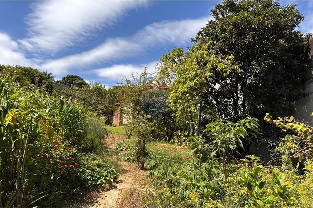 Chácara / Sítio / Fazenda - Venda - Capivari , São Paulo - foto 11.jpg - 690091006-483