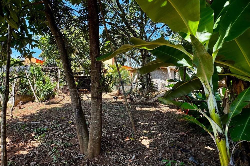 Chácara / Sítio / Fazenda - Venda - Jarinu , São Paulo - z12.jpg - 691121003-14