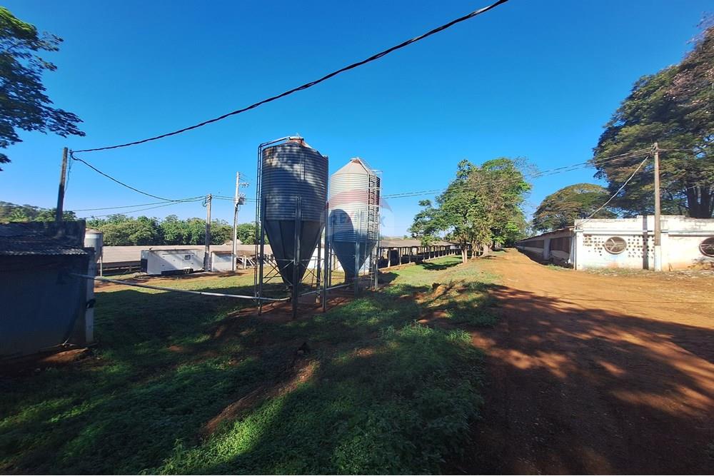 Chácara / Sítio / Fazenda - Venda - Conchal , São Paulo - 20250617_141440.jpg - 690751019-291