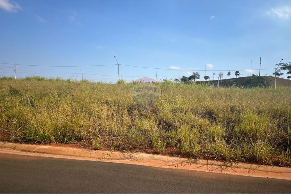 Terreno - Venda - Paulínia , São Paulo - Imagem do WhatsApp de 2025-07-14 à(s) 15.46.32_6261ee92.jpg - 690511143-87