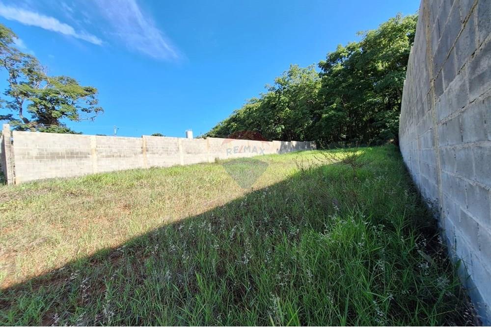 Terreno - Alugar - Mogi Mirim , São Paulo - IMG-20241209-WA0028.jpg - 690751048-95