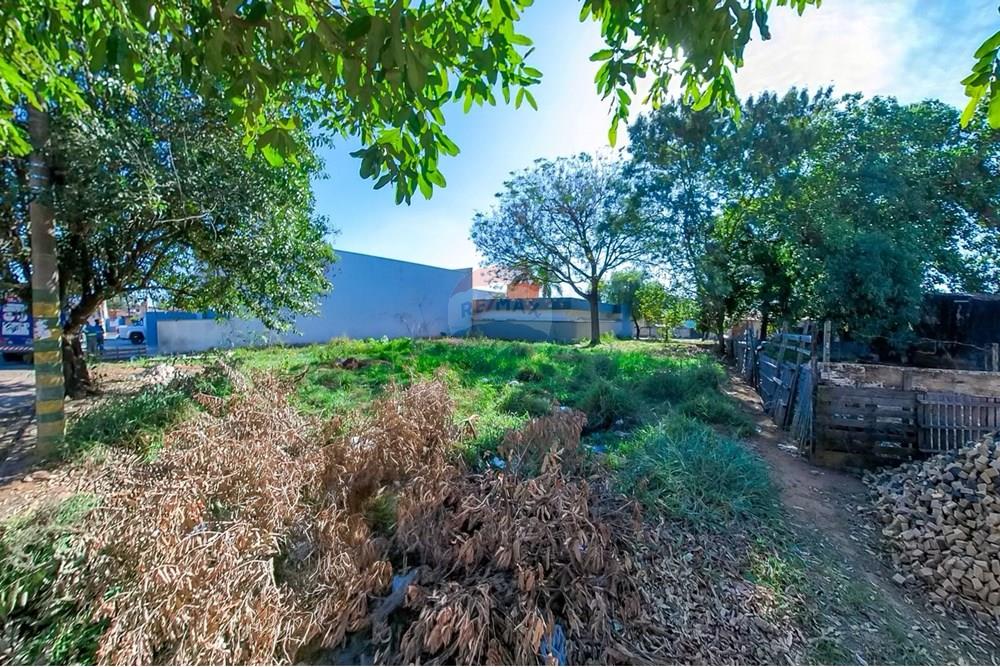 Terreno - Venda - Araras , São Paulo - WhatsApp Image 2025-06-23 at 20.22.53 (2).jpeg - 690691060-24