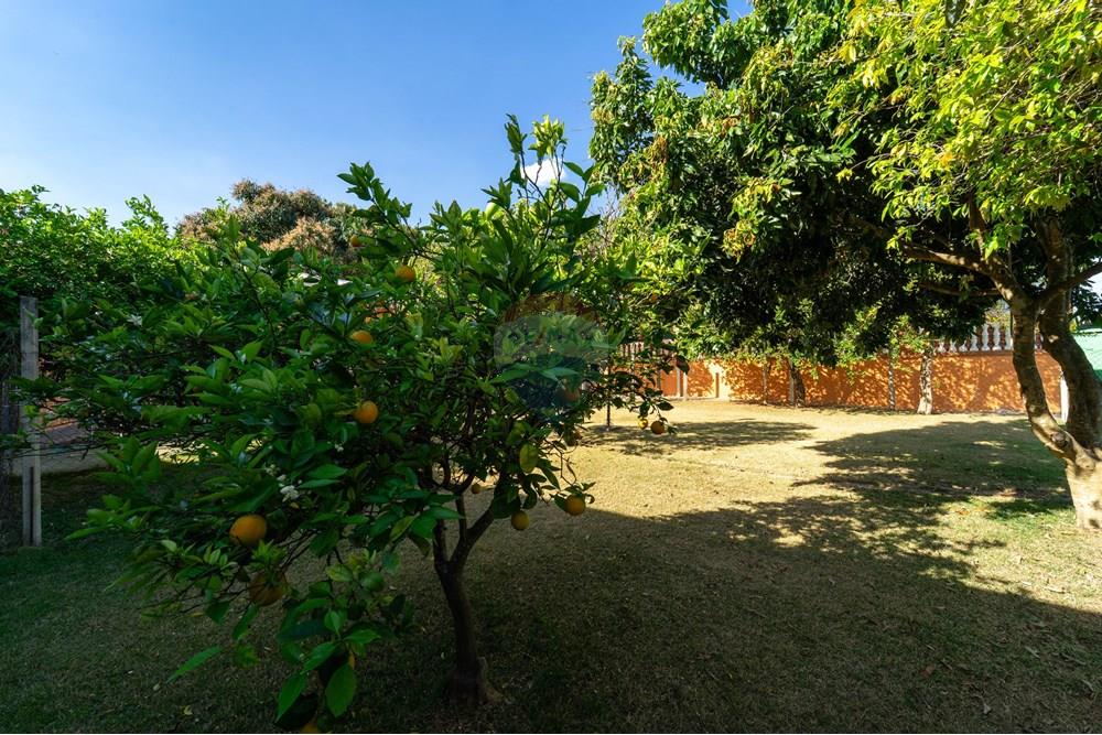 Chácara / Sítio / Fazenda - Venda - Cabreúva , São Paulo - DSC02420.jpg - 690361003-89