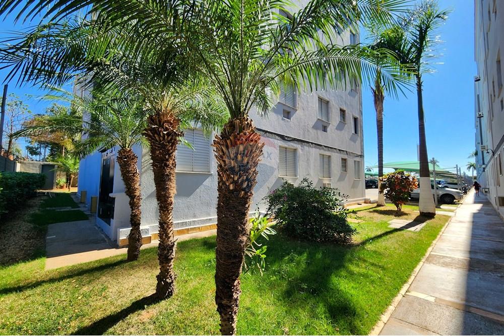 Apartamento - Venda - Araraquara , São Paulo - 20250726_134804.jpg - 690151059-31