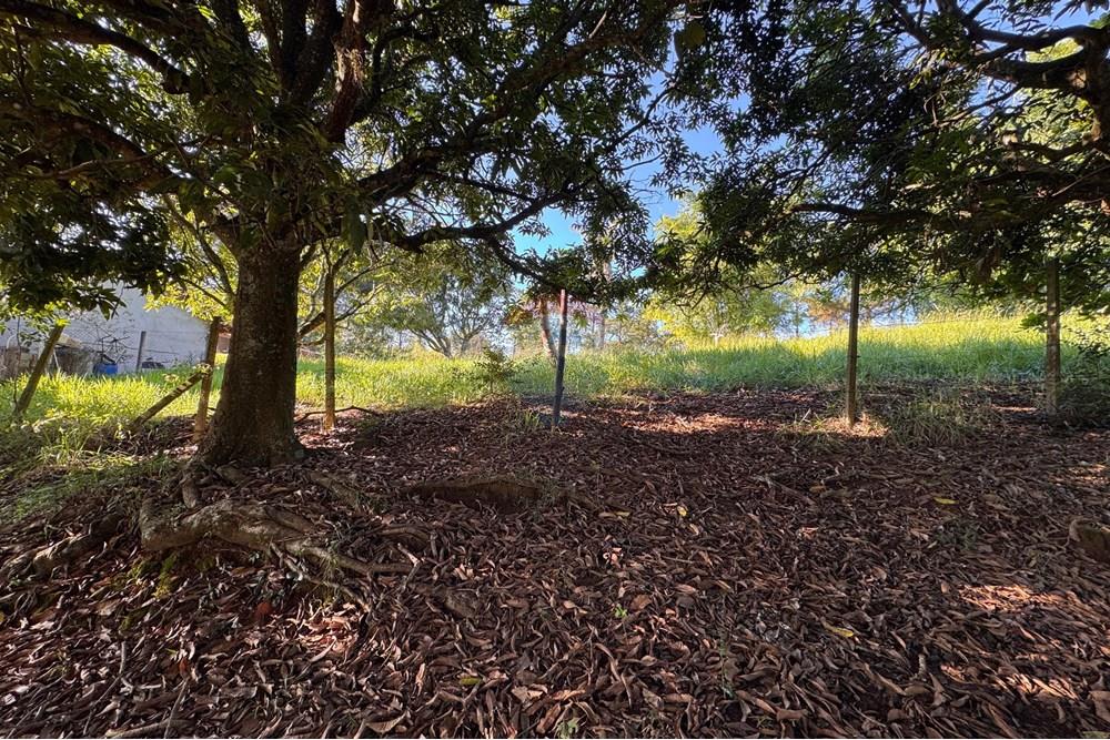 Terreno - Venda - Bragança Paulista , São Paulo - H - Foto Terreno Portal Barragem Jacareí 24.jpg - 690041052-92