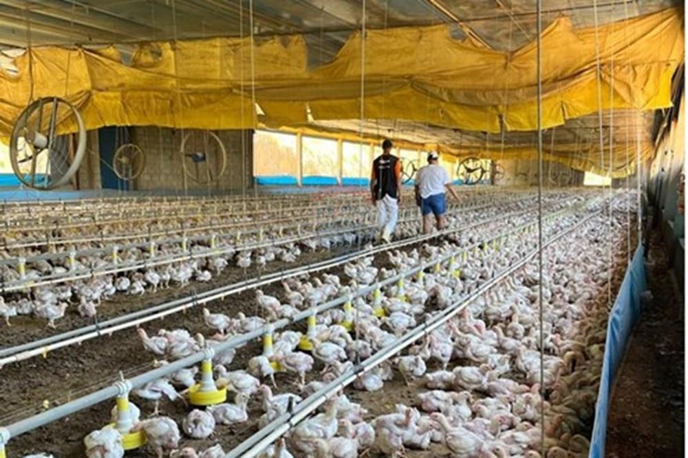 Chácara / Sítio / Fazenda - Venda - Bragança Paulista , São Paulo - GALPOES (2).jpg - 690141085-32