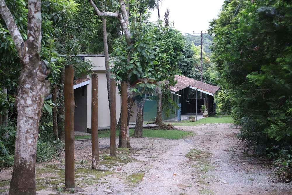 Chácara / Sítio / Fazenda - Venda - Jarinu , São Paulo - IMG_6481.JPG - 690661027-129