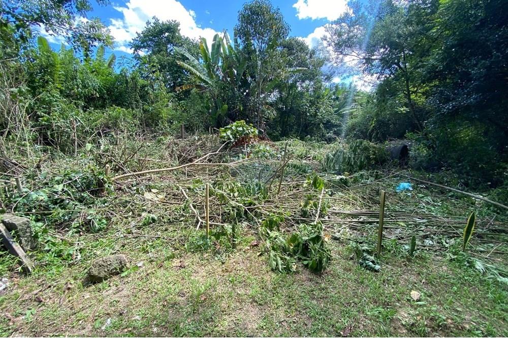 Terreno - Venda - Mairiporã , São Paulo - ef65f9ff-a54b-459f-bc54-63eac18392bf.jpeg - 690041107-11