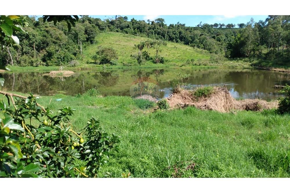 Fazenda - Venda - Campestre , Minas Gerais - 8283ad21-7f76-4b52-86cc-bd6c988b59b3.jpg - 690291077-77