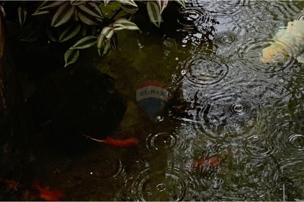 Chácara / Sítio / Fazenda - Venda - Paulínia , São Paulo - Imagem do WhatsApp de 2025-03-20 à(s) 20.18.54_151f052d.jpg - 690511202-5