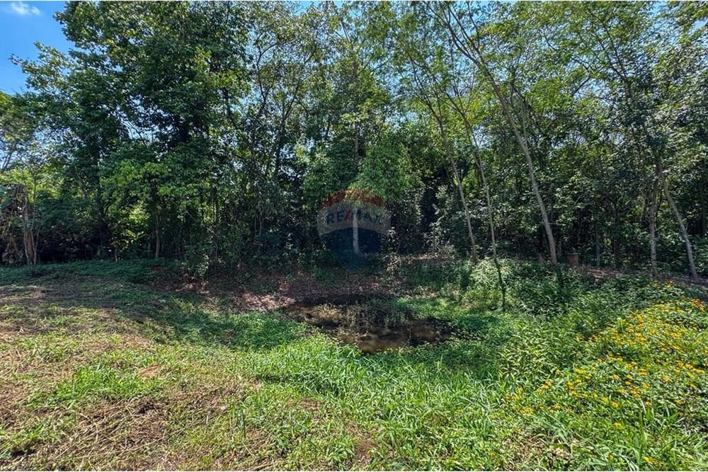 Terreno - Venda - Estiva Gerbi , São Paulo - WhatsApp Image 2025-10-18 at 11.25.55.jpeg - 690521033-193