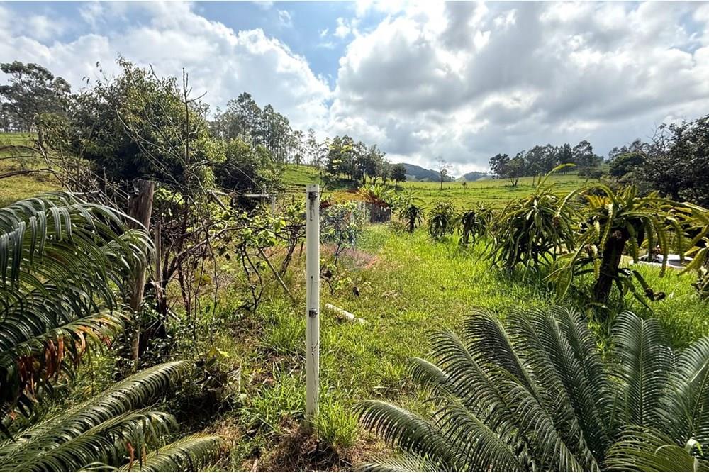 Chácara / Sítio / Fazenda - Venda - Itapira , São Paulo - WhatsApp Image 2025-04-16 at 08.26.26.jpeg - 690751048-152