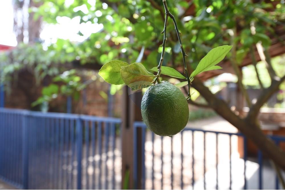 Casa - Venda - Rio Claro , São Paulo - PIP_7805.JPG - 690811015-135