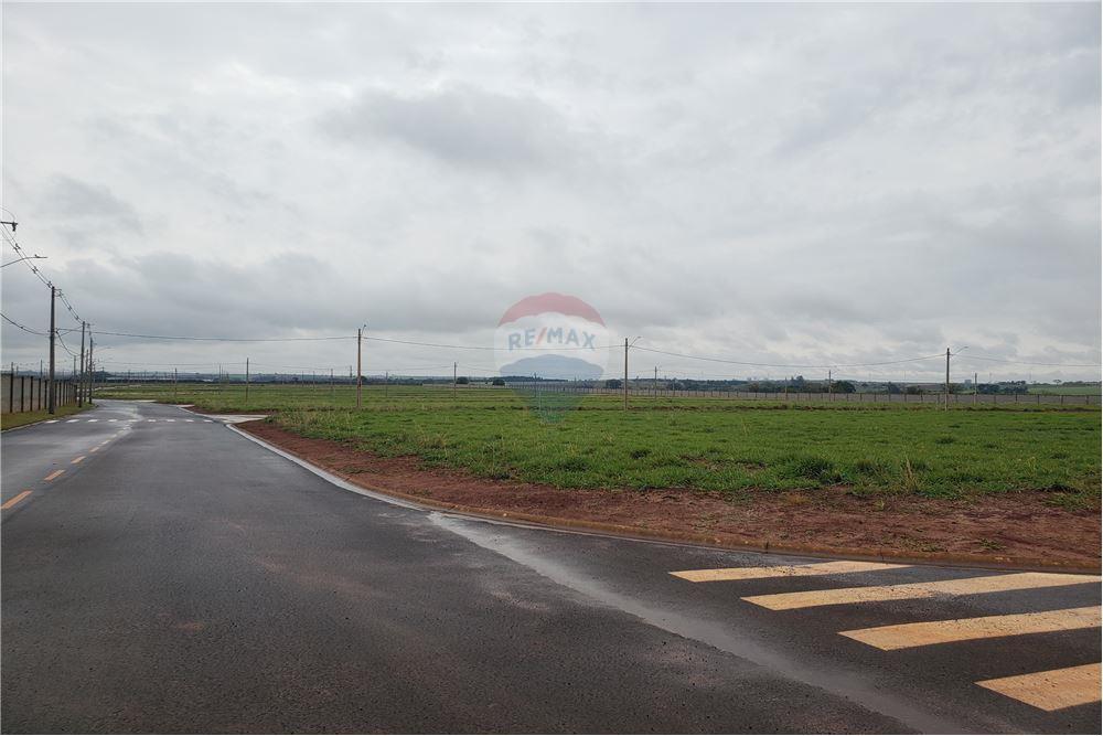 Terreno - Venda - Engenheiro Coelho , São Paulo - 13 - 690831047-377