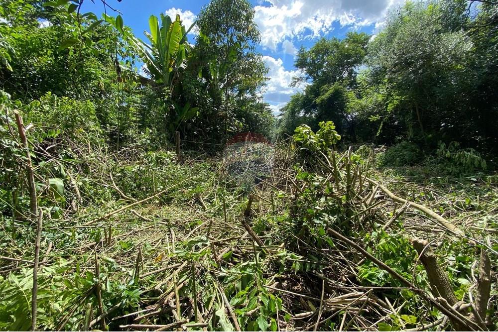 Terreno - Venda - Mairiporã , São Paulo - 26f05c16-dd56-4329-ad12-c941ace9d8f4.jpeg - 690041107-11