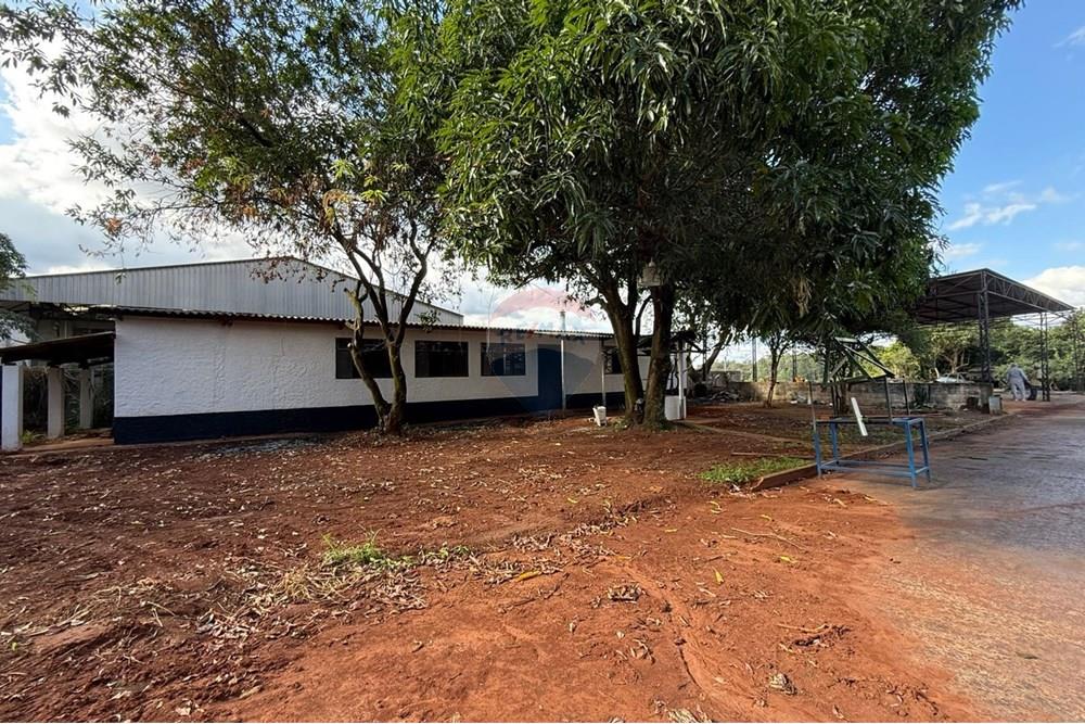 Industrial - Alugar - Mogi Mirim , São Paulo - WhatsApp Image 2025-05-13 at 15.29.58 (2).jpeg - 690281011-305