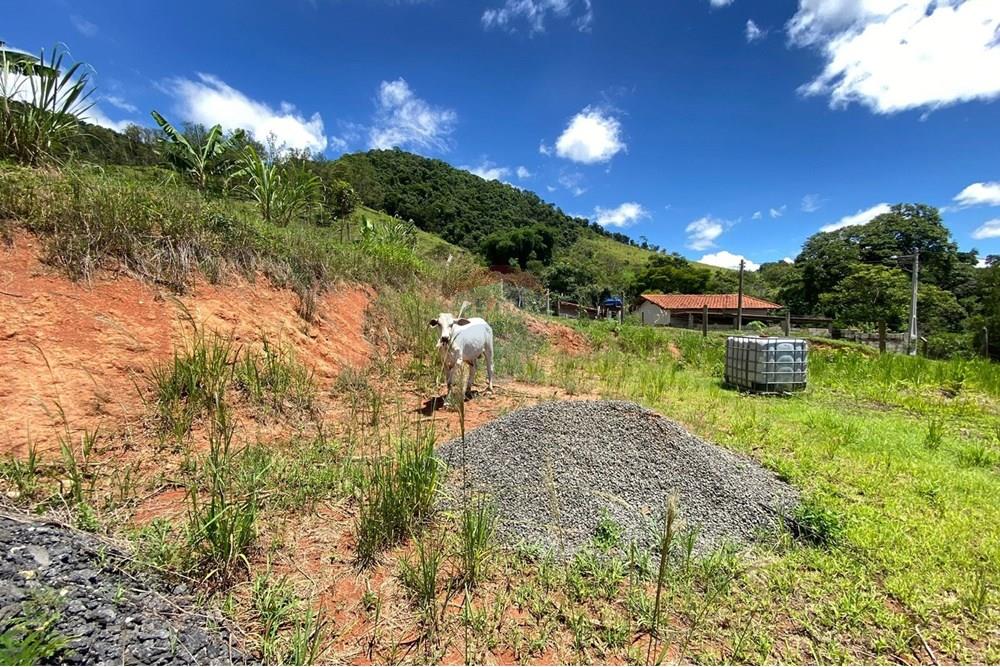 Chácara / Sítio / Fazenda - Venda - Lindóia , São Paulo - Imagem do WhatsApp de 2025-02-25 à(s) 19.33.41_e09ad70d.jpg - 690291077-223