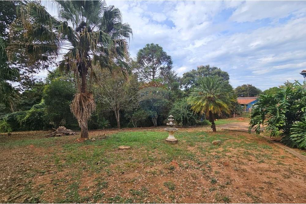 Chácara / Sítio / Fazenda - Venda - Itapira , São Paulo - photo_2025-06-17_17-52-58 (3).jpg - Quintal - 690291048-31