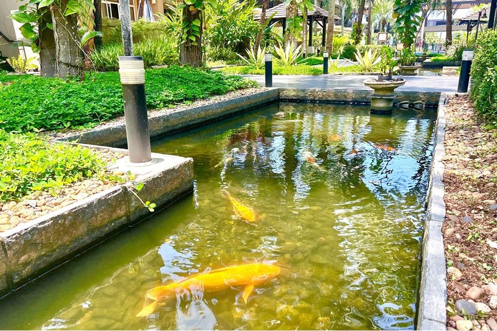 Apartamento - Venda - Guarujá , São Paulo - DJI_20241111_113923_210.jpeg - 690981024-337