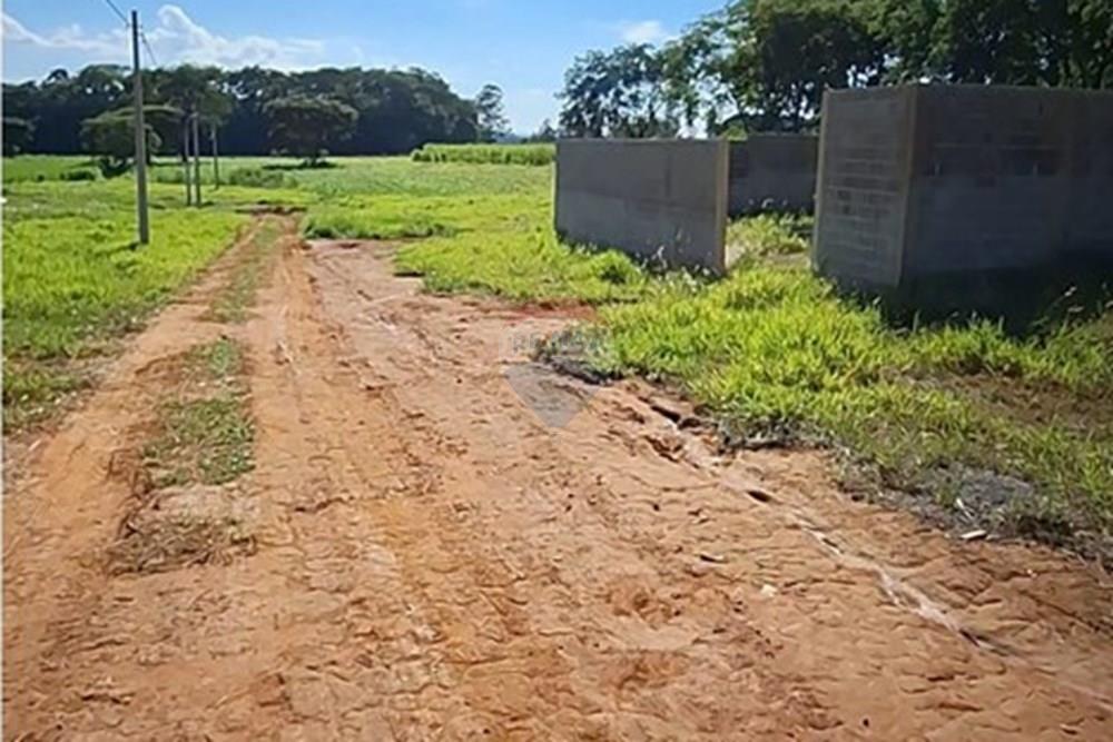 Terreno - Alugar - Mogi Mirim , São Paulo - IMG-20241209-WA0044.jpg - 690751048-95