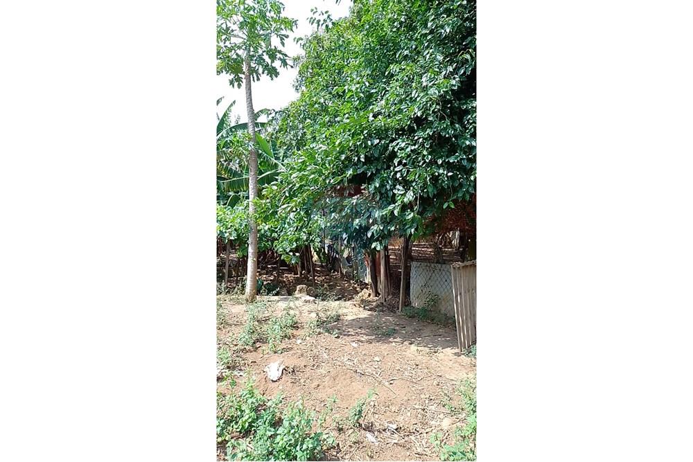 Terreno - Venda - Cosmópolis , São Paulo - fachada (11).jpg - Jardim Interno - 690831047-354