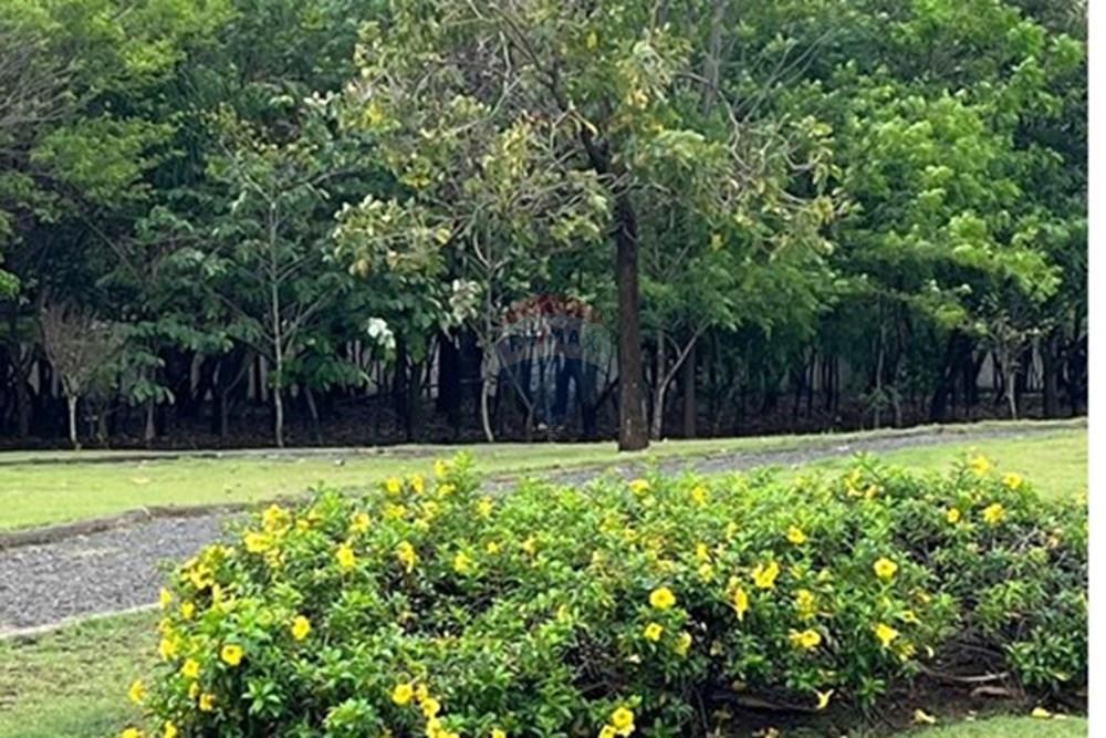 Casa - Venda - Paulínia , São Paulo - 4f15e30f-d70e-4236-8c2b-7cacfc0007e1.jpg - 690511152-30