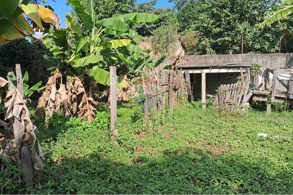 Terreno - Venda - Mogi Mirim , São Paulo - terr 17.jpeg - 690751036-49