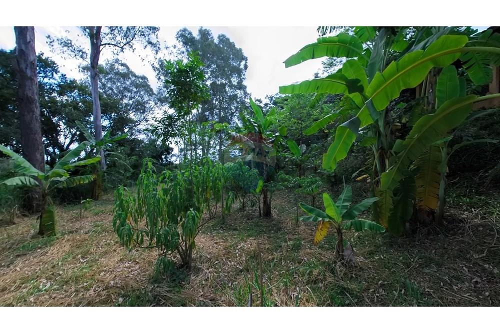 Chácara / Sítio / Fazenda - Venda - Araras , São Paulo - IMG_20250115_155457_00_369_PureShot.jpg - 690691016-236